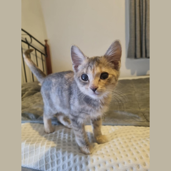Photo of Nora