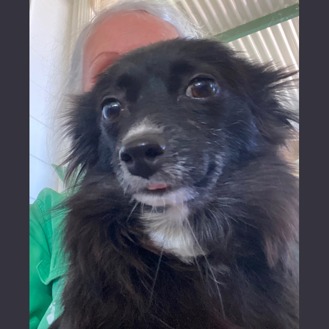 Photo of Tinkerbelle 