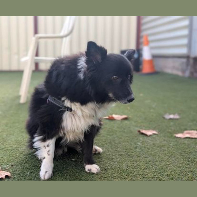 Photo of Jazz