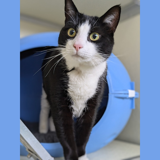 Photo of 🍫 Tim Tam 5572 🍫