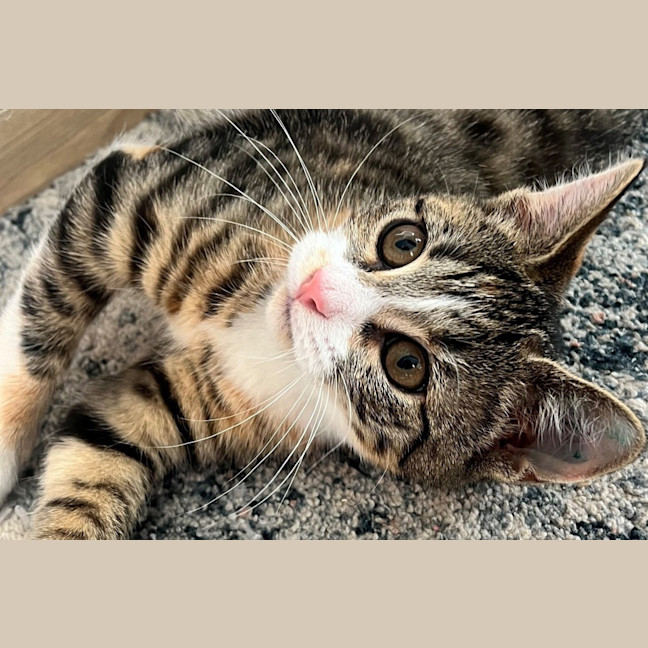 Photo of Tammy