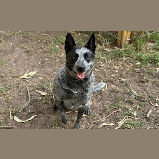 Photo of Lilly