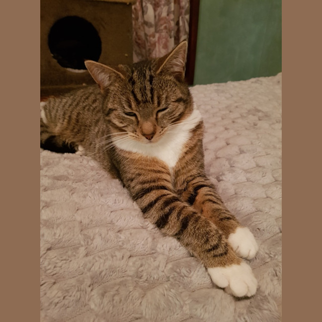 Photo of Luna