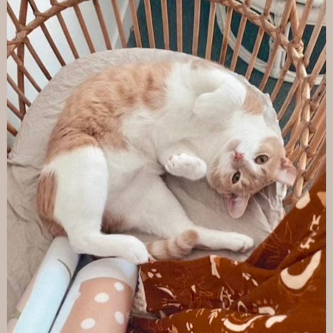 Photo of Moet And Jerry