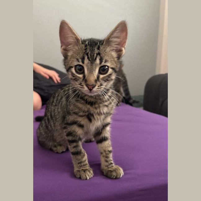 Photo of Clyde