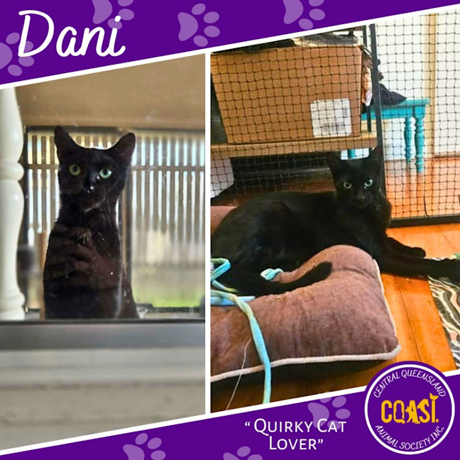 Photo of Dani