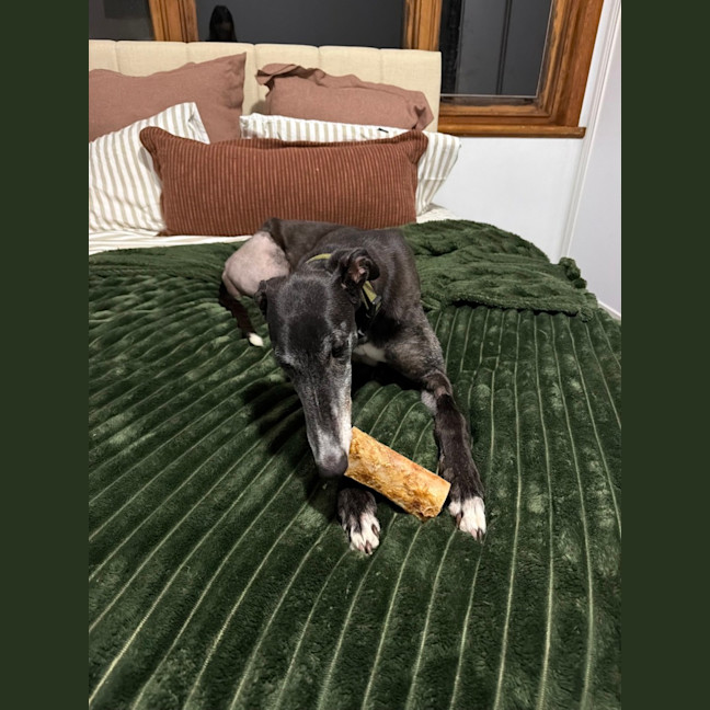 Photo of Cleo
