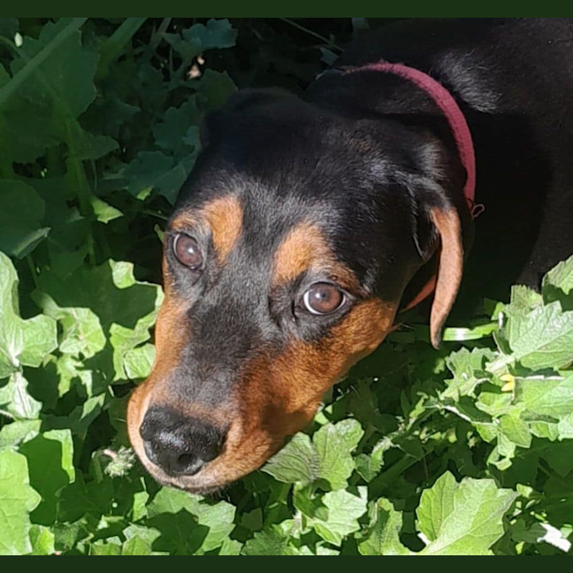 Photo of Rita