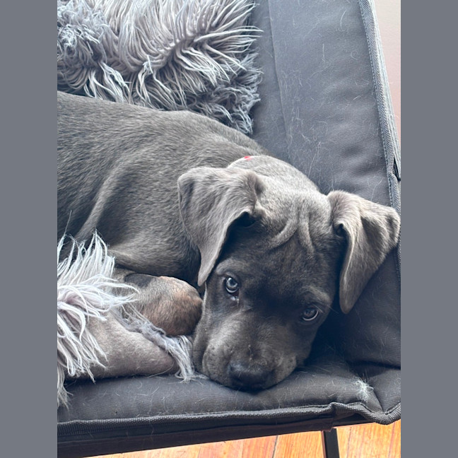 Photo of Enza