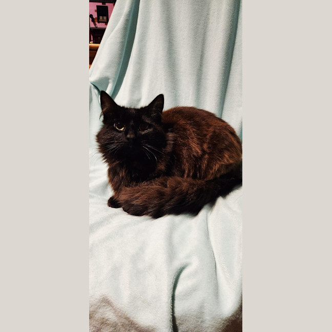 Photo of Baron
