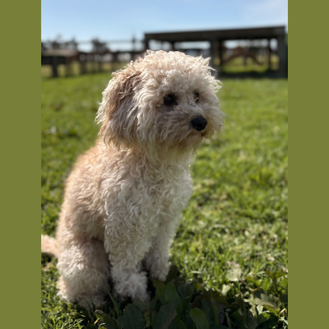 Photo of Ted