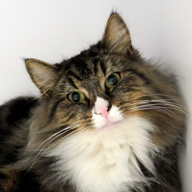 Photo of Benji Sua013006