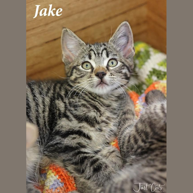 Photo of Jake