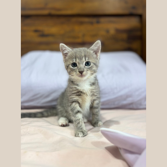 Photo of Winny