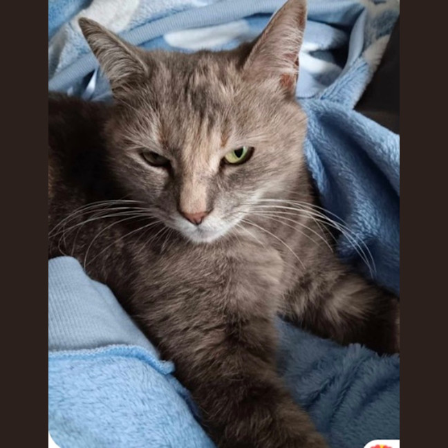 Photo of Molly