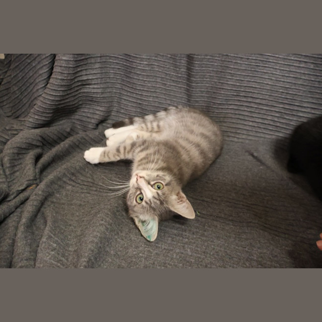 Photo of Bubble O Bill
