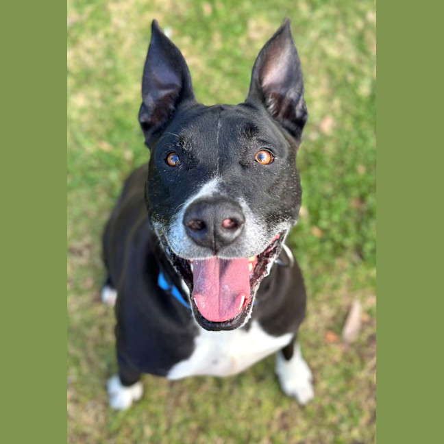 Photo of Winston