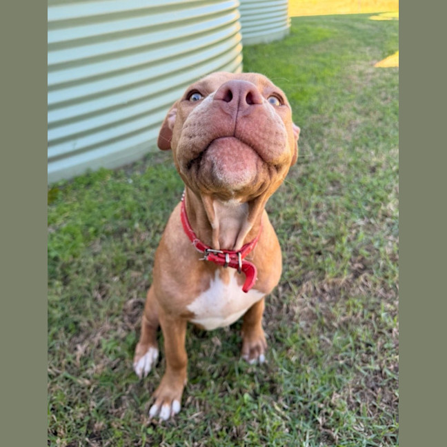 Photo of Minka