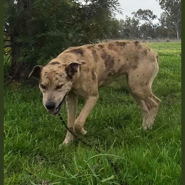 Photo of Kiara
