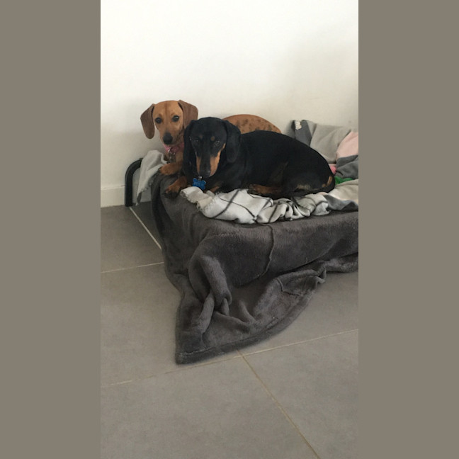 Photo of Benji And Saide