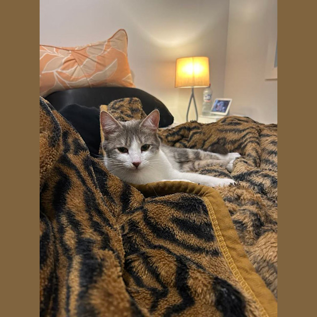 Photo of Lil Sabrina