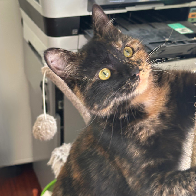 Photo of Heidi