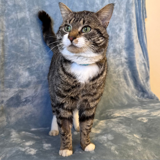 Photo of Oliver