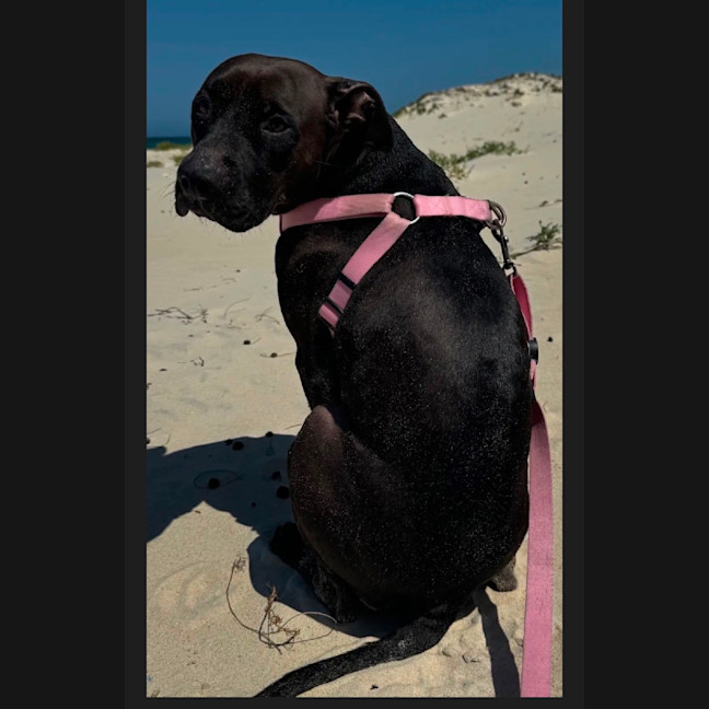 Photo of Lena 