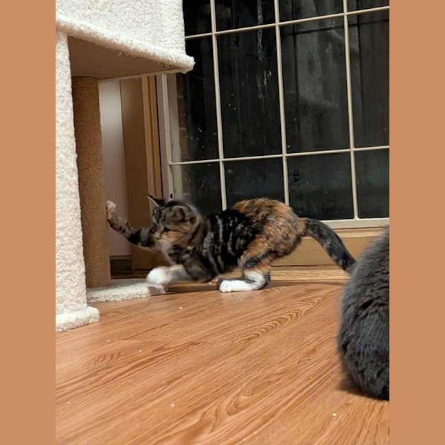 Photo of Popcorn
