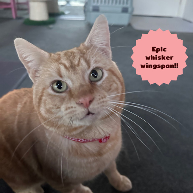 Photo of 🔥Slick Rick🔥