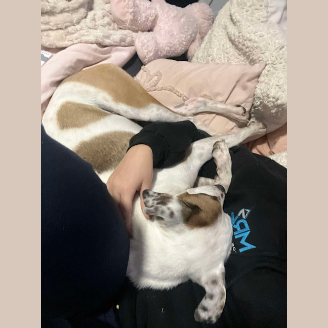Photo of Penny