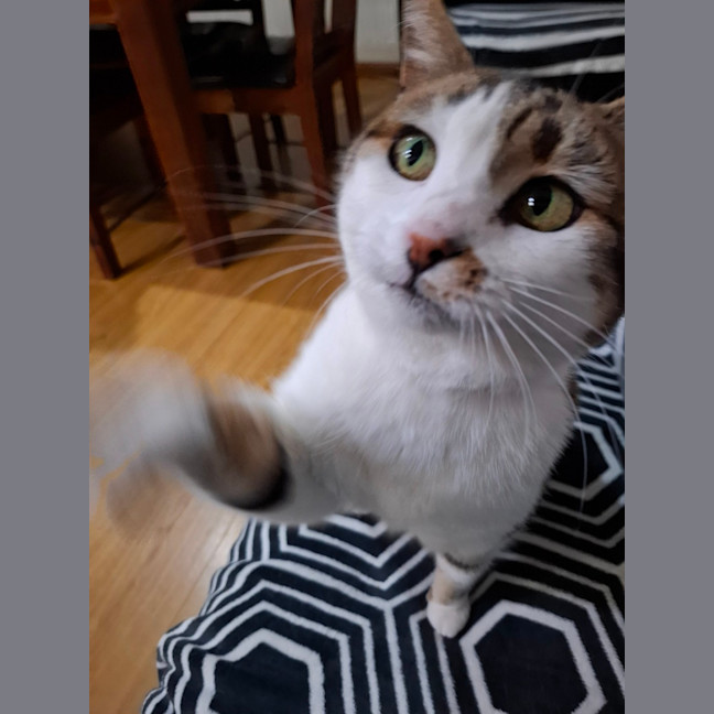 Photo of Little Girl