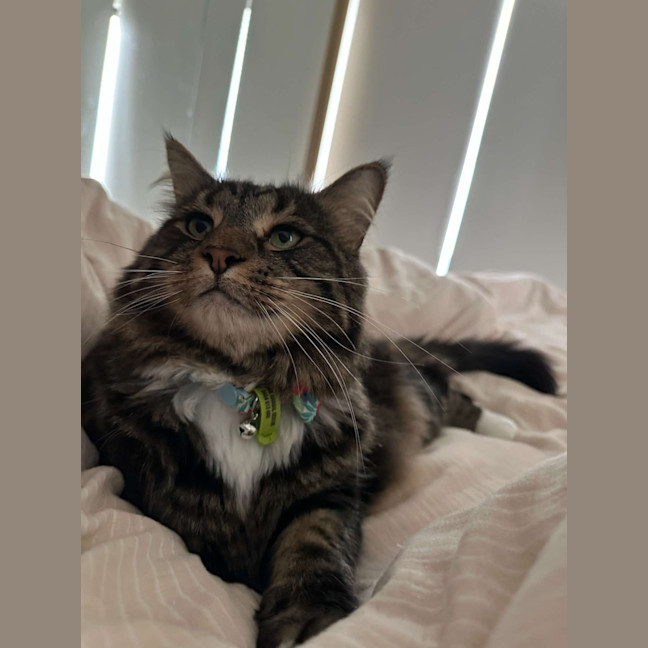 Photo of 🏴‍☠️ Pirate & Pearl 🏴‍☠️