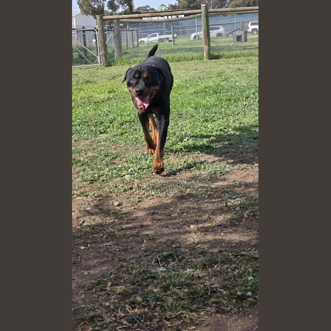 Photo of Bob