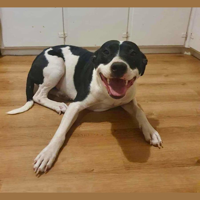 Photo of Maggie Junee