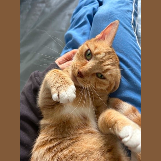 Photo of Mishka