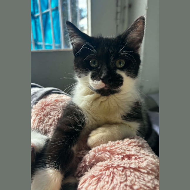 Photo of Mash