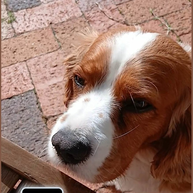 Photo of Matilda 