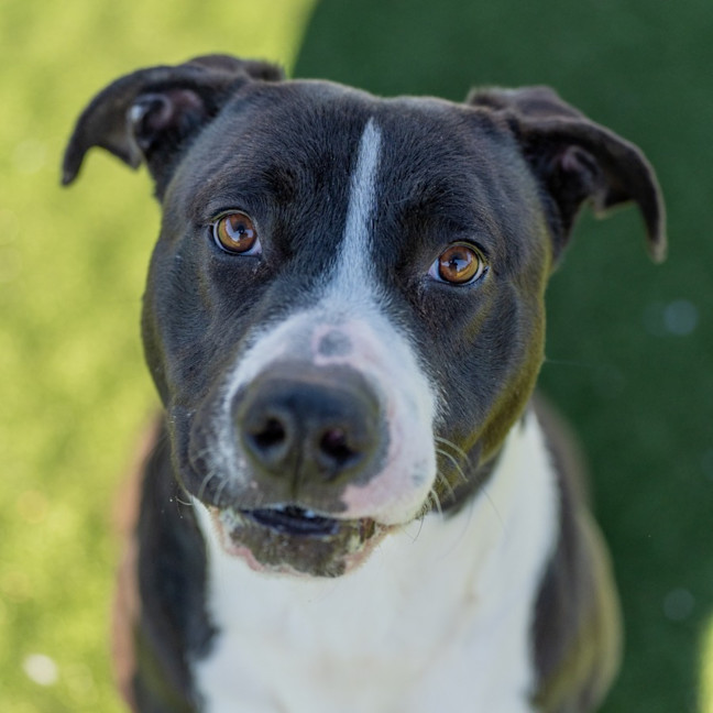 Photo of Michael Imp 205