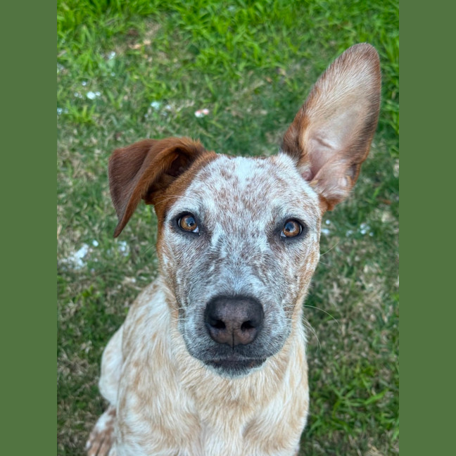Photo of Mason