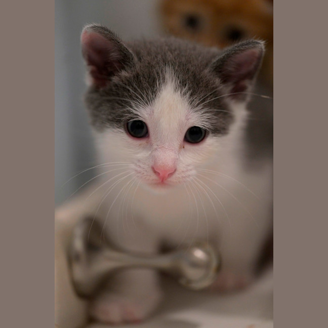 Photo of 💙 Concrete 🤍