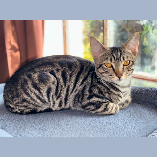 Photo of Bruce