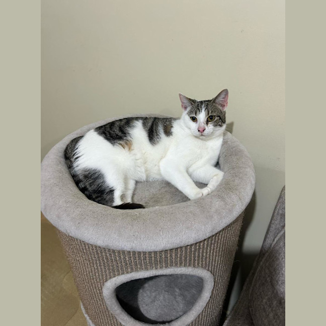 Photo of Miss Lou