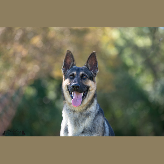 Photo of Storm