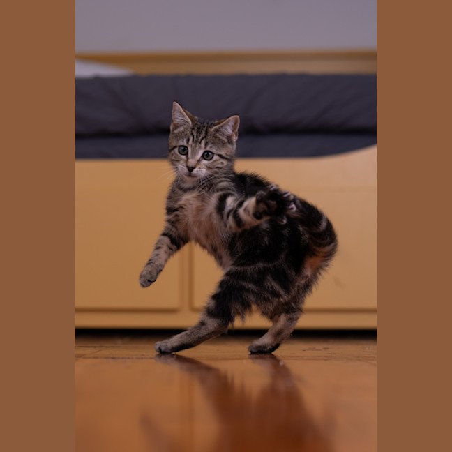 Photo of Lunchlady Doris