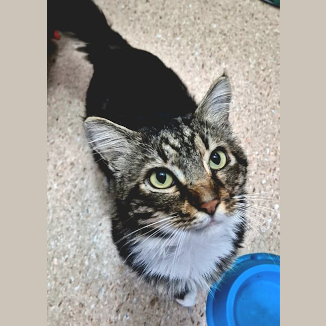 Photo of Jax
