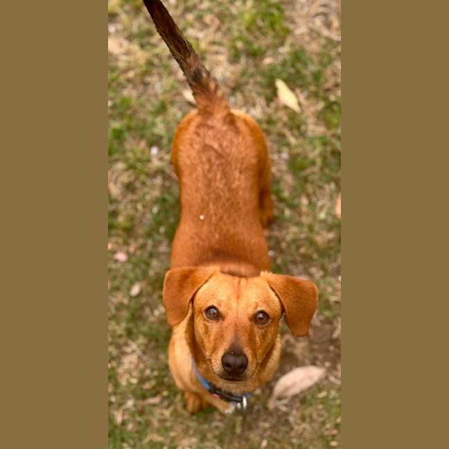 Photo of Bundy 