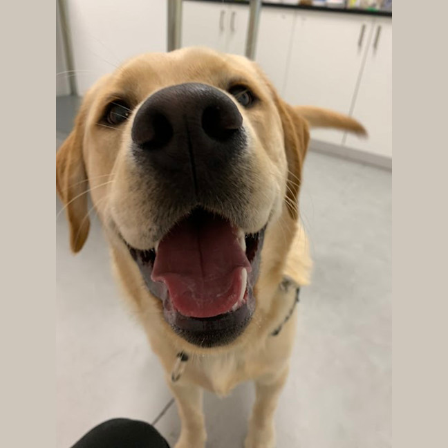 Photo of Jeffrey 'Good Boy' Jones