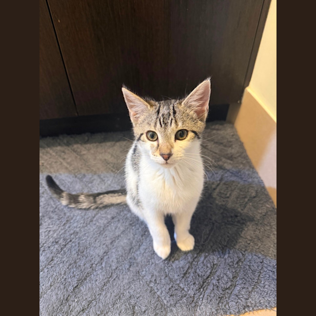 Photo of Yuki