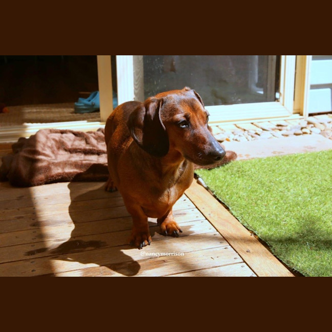 Photo of Frankie Silvanus